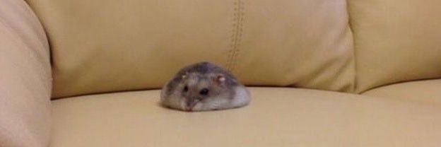 thinking about luda's banner