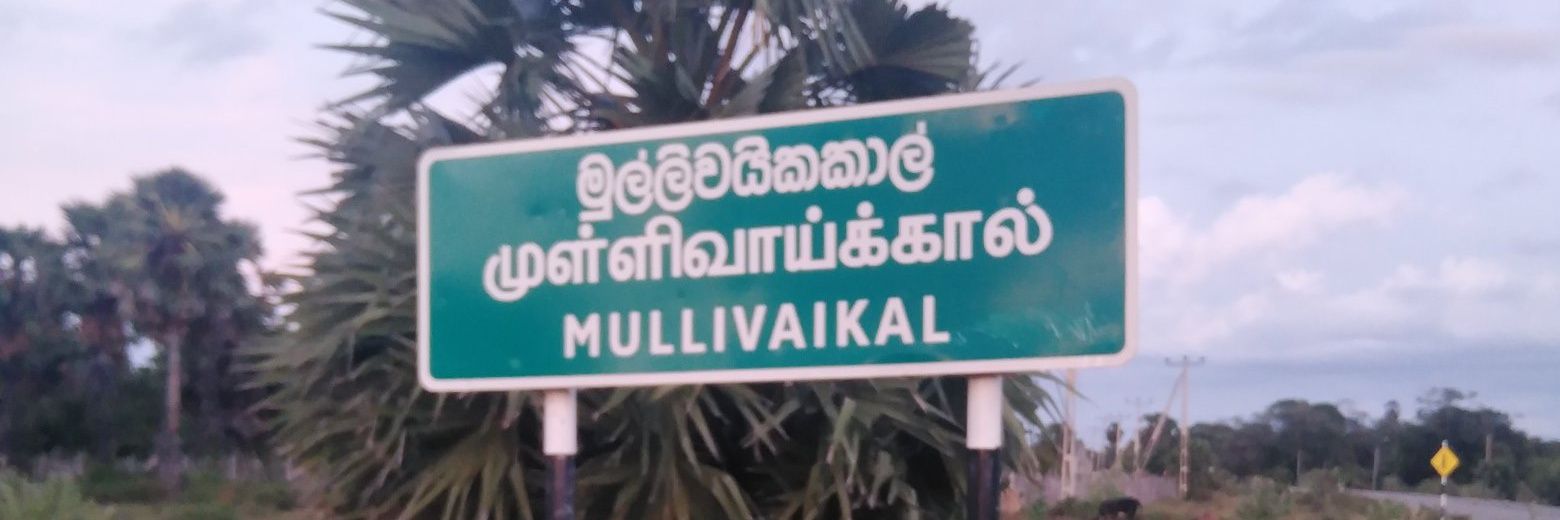 விக்கி 's banner