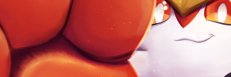 Sokz's banner