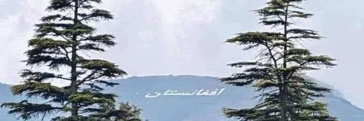 Mohamad's banner