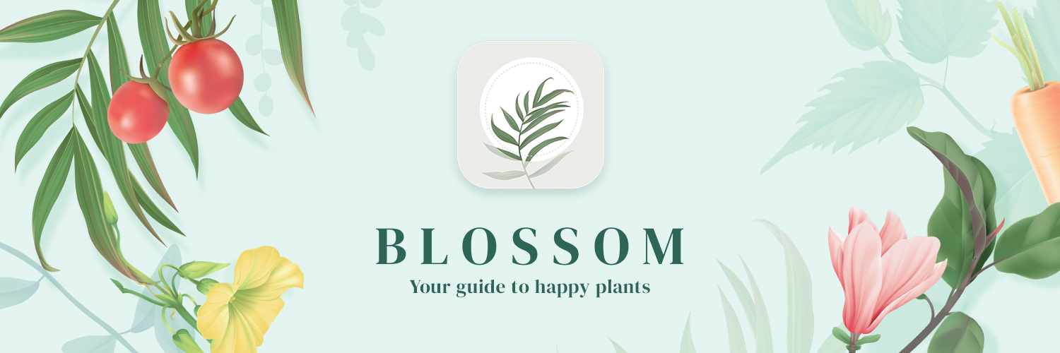Blossom – Plant care companion's banner