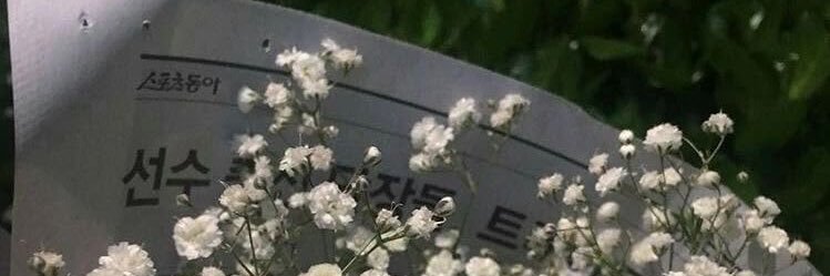𝑟𝑖𝑘𝑜𝑗𝑢𝑛𝑔 𐙚's banner