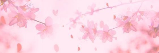 𝒔𝒌𝒚 ❜'s banner