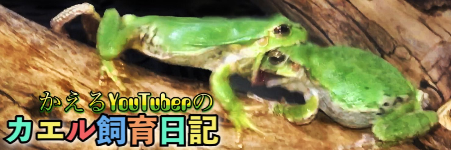 はらペコ's banner