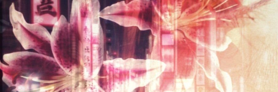 leila🪽's banner