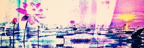leila🪽's banner