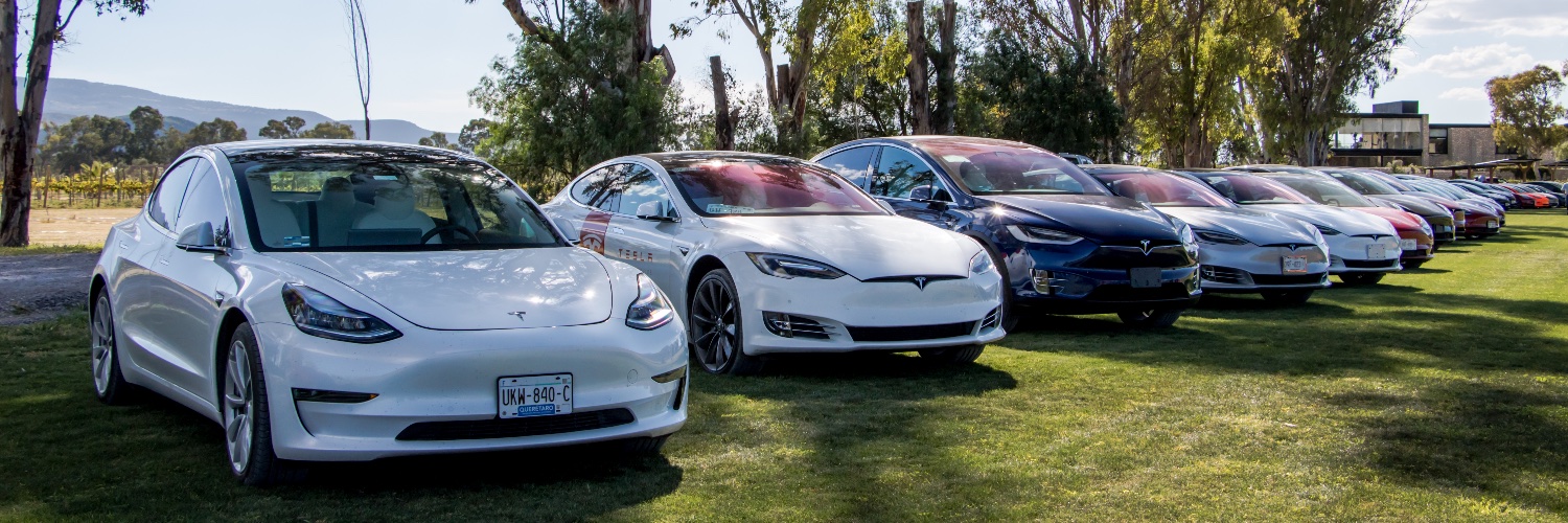 Tesla Owners Mexico 🇲🇽's banner