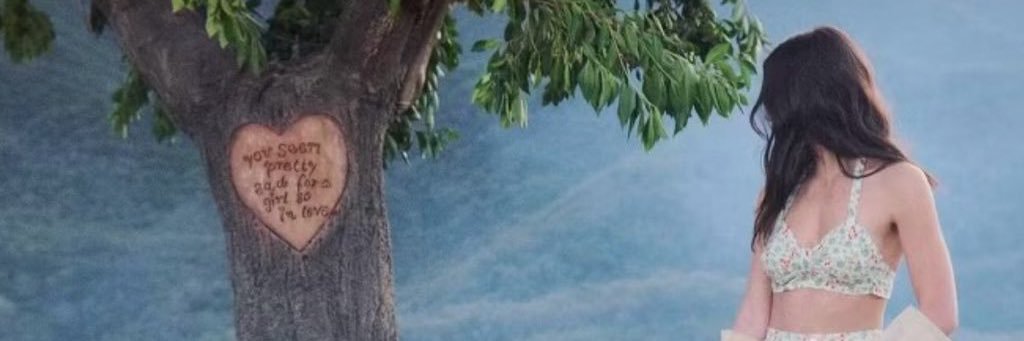 lexa's banner