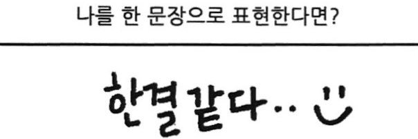보나 아카이브's banner
