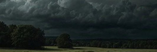 𝑷𝒍𝒖𝒗𝒊𝒂's banner