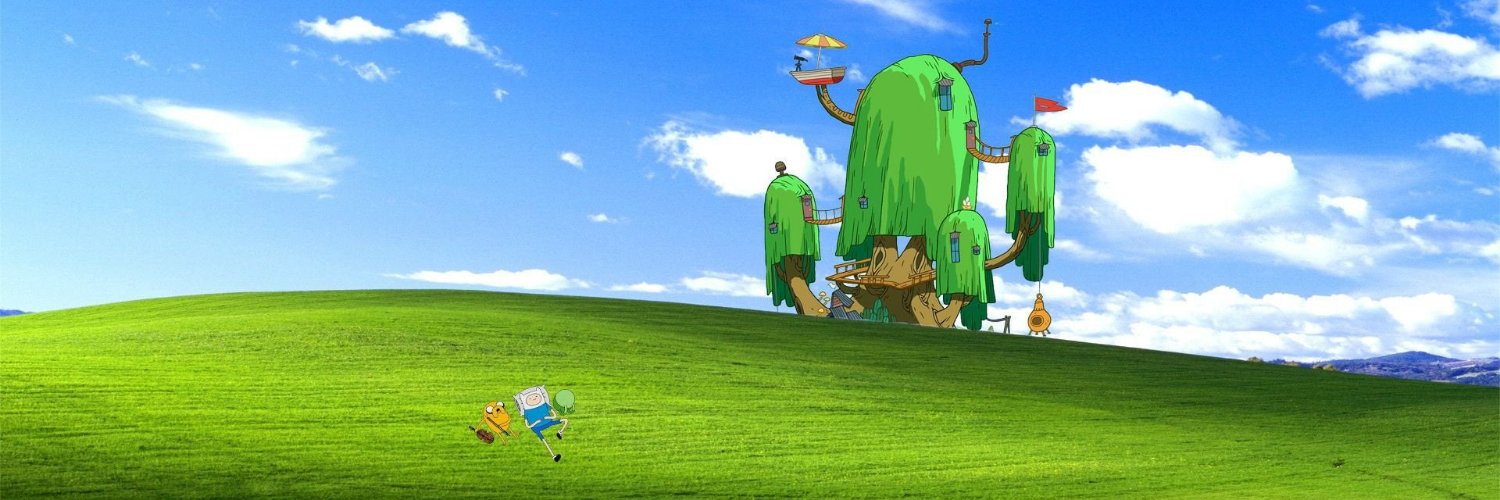 ace 🦚's banner