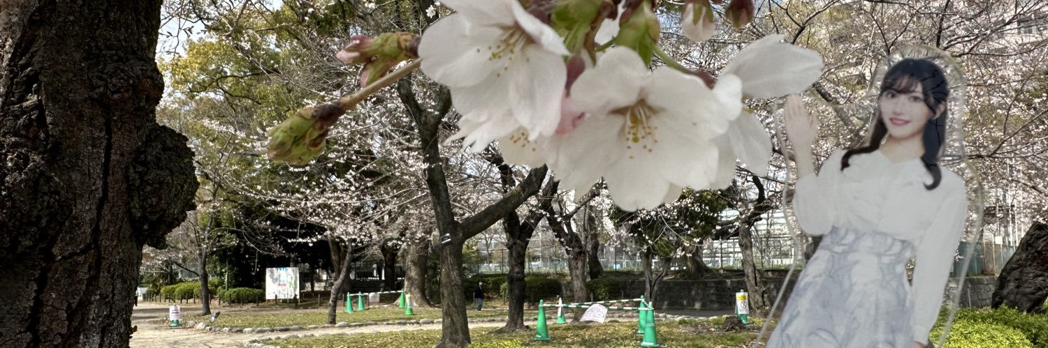 ぐっさんさん's banner