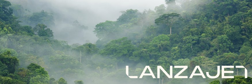 LanzaJet's banner