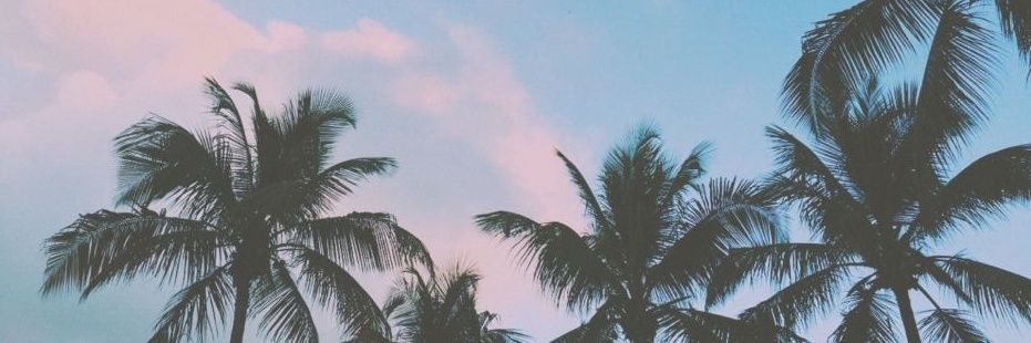 adri's banner