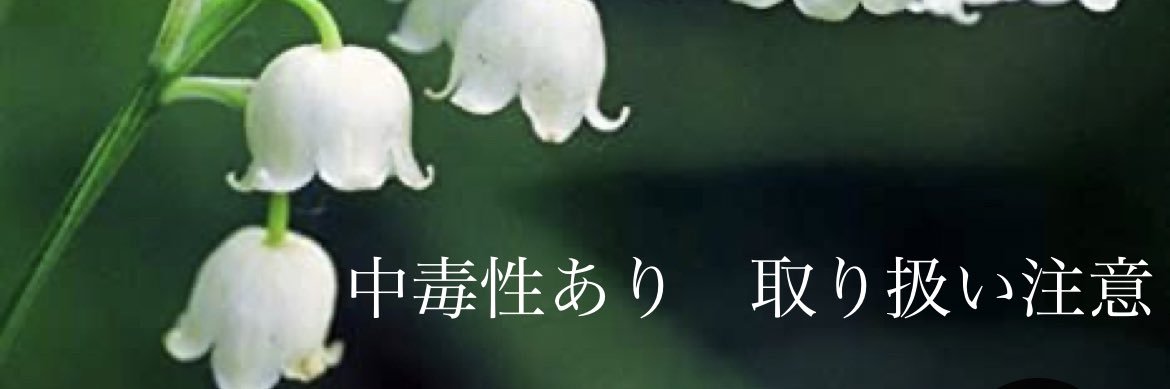 優希🐶🍫🍰🍨🍣🧀🍈's banner