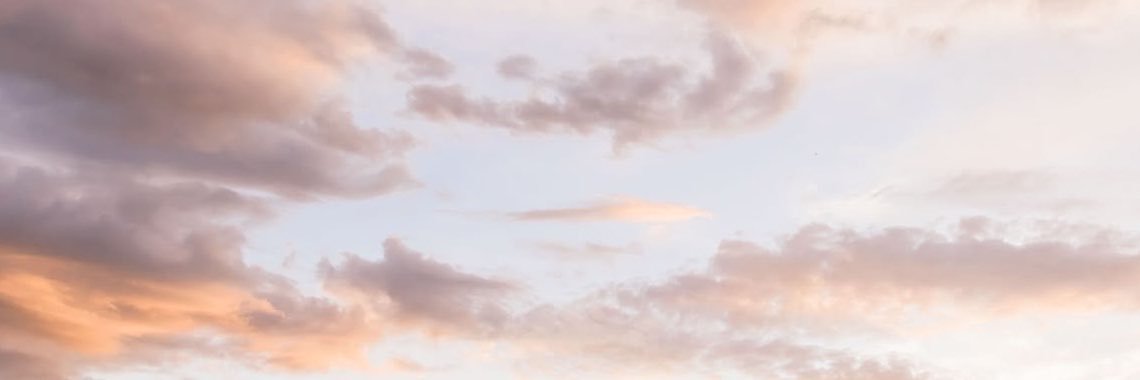 Vee 🍉's banner