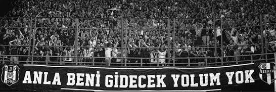elif's banner