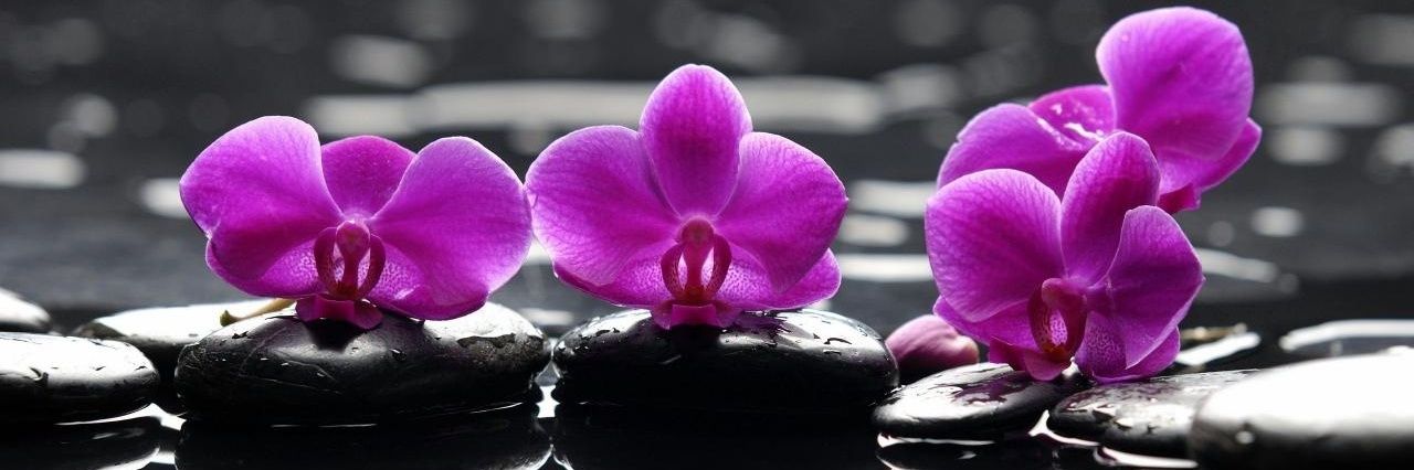 Blanca Rosa Mármol's banner