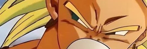 Broly's banner