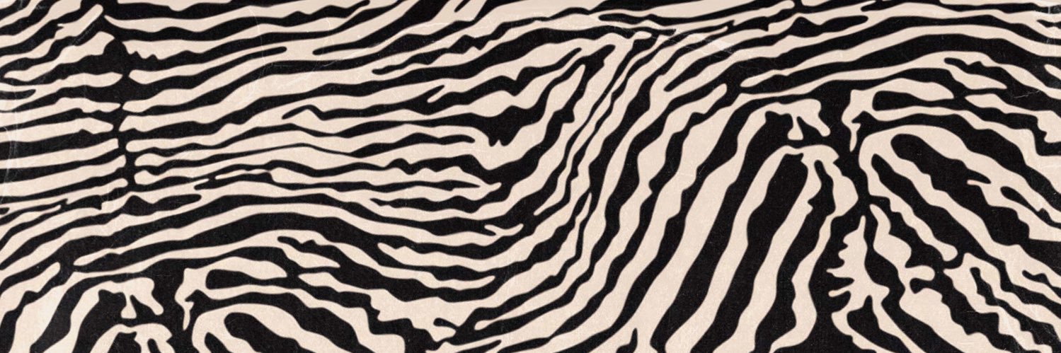 Loren Gray's banner