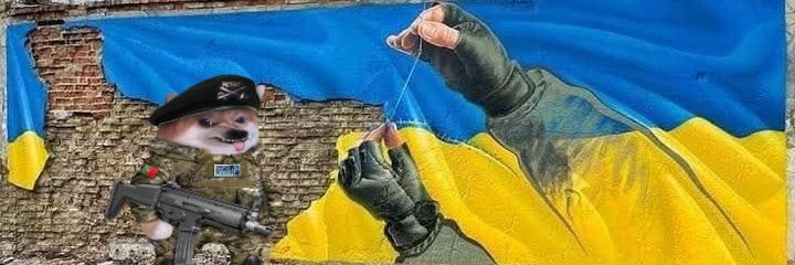 MadDog Fella 🇵🇹 🇺🇦 🇪🇺's banner