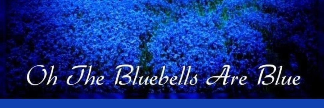 Julie❤🤍💙's banner