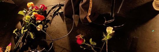 kara ◟̽◞̽'s banner