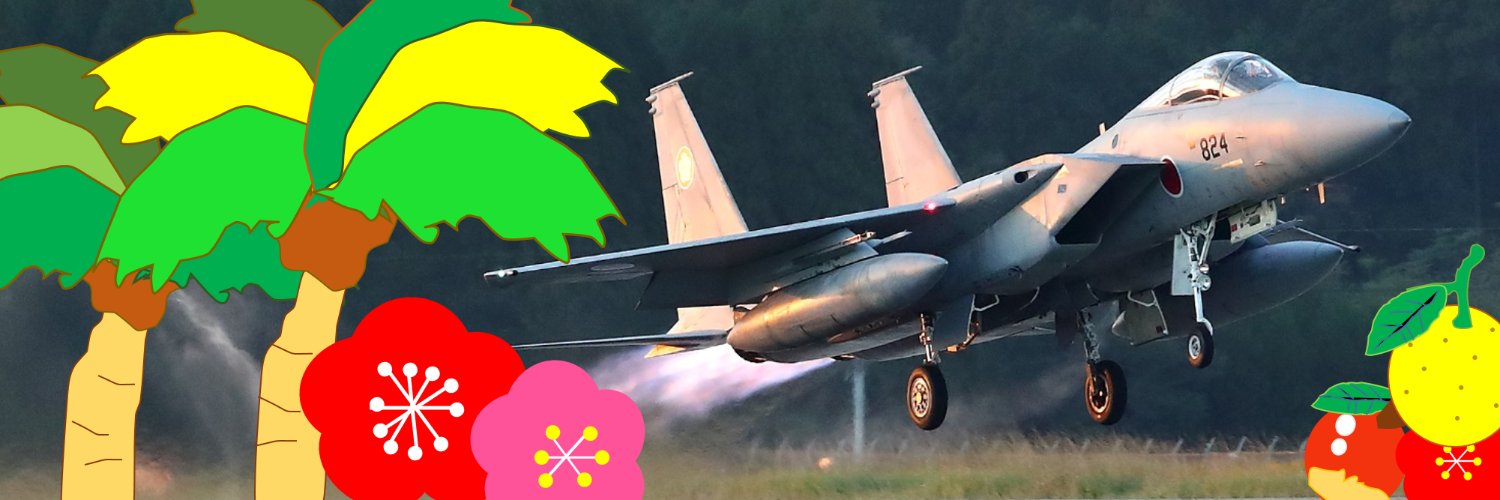 航空自衛隊 新田原基地's banner