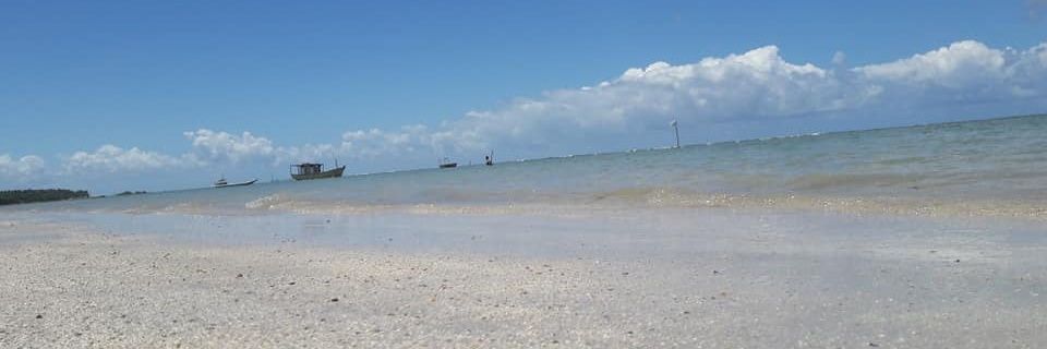 Ogrado's banner