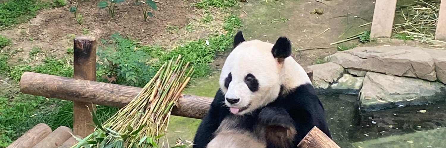 Amo🐼's banner