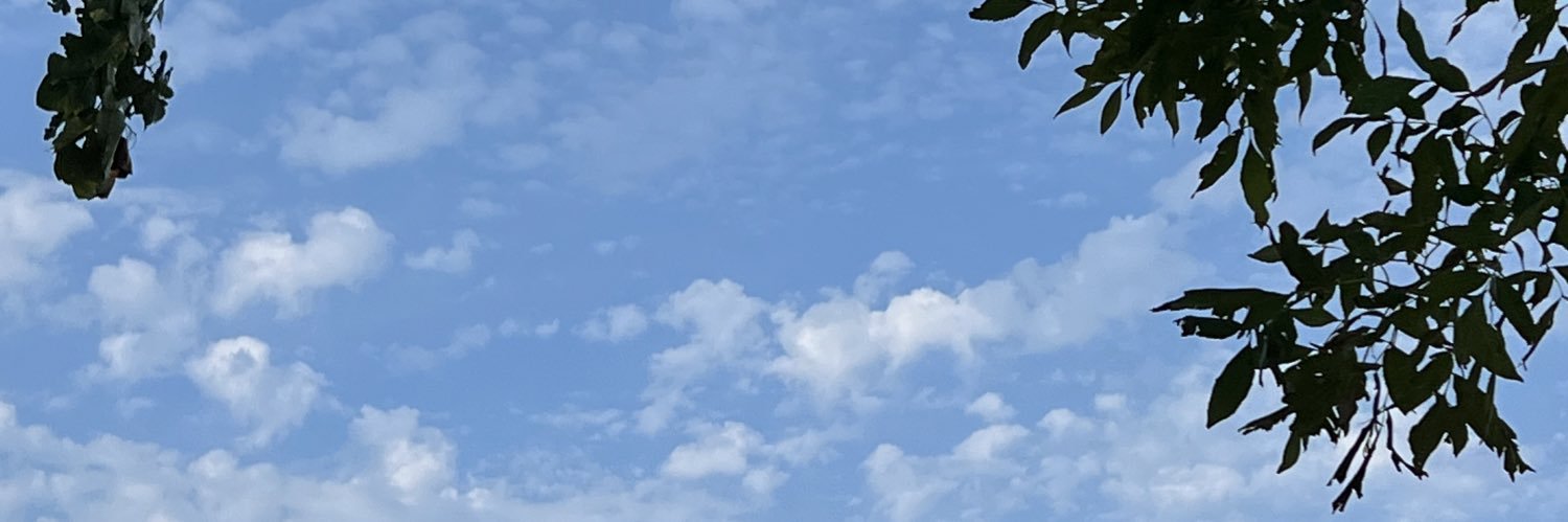 دختری شرقی‌تر از باد ... 🧜🏻‍♀️'s banner