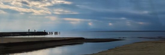 Siestatarot 🔮's banner