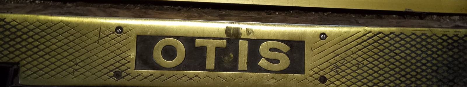 Otis, she wrote🐕🌈🦄🥑⚰️👹👾🤖🧛‍♀️'s banner