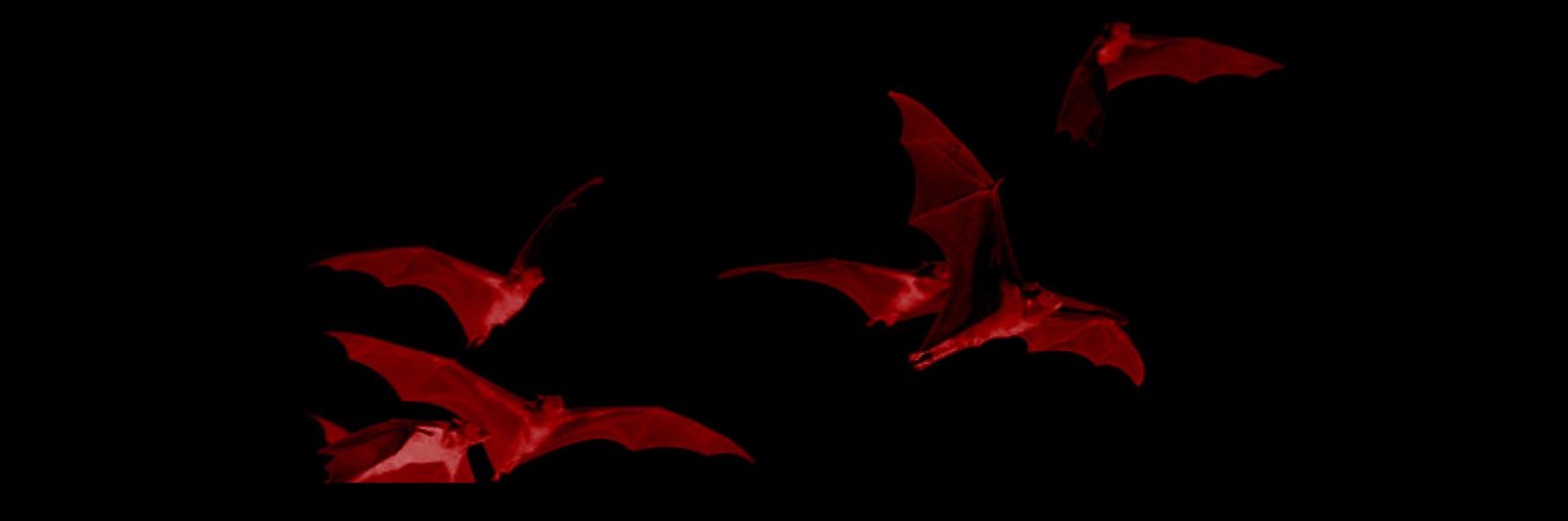 𝔅𝔩𝔞𝔡𝔢 𝔬𝔣 𝔐𝔦𝔮𝔲𝔢𝔩𝔩𝔞 🥀's banner