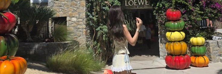 Le𝓂𝒪n𝔞de.(🍋)'s banner