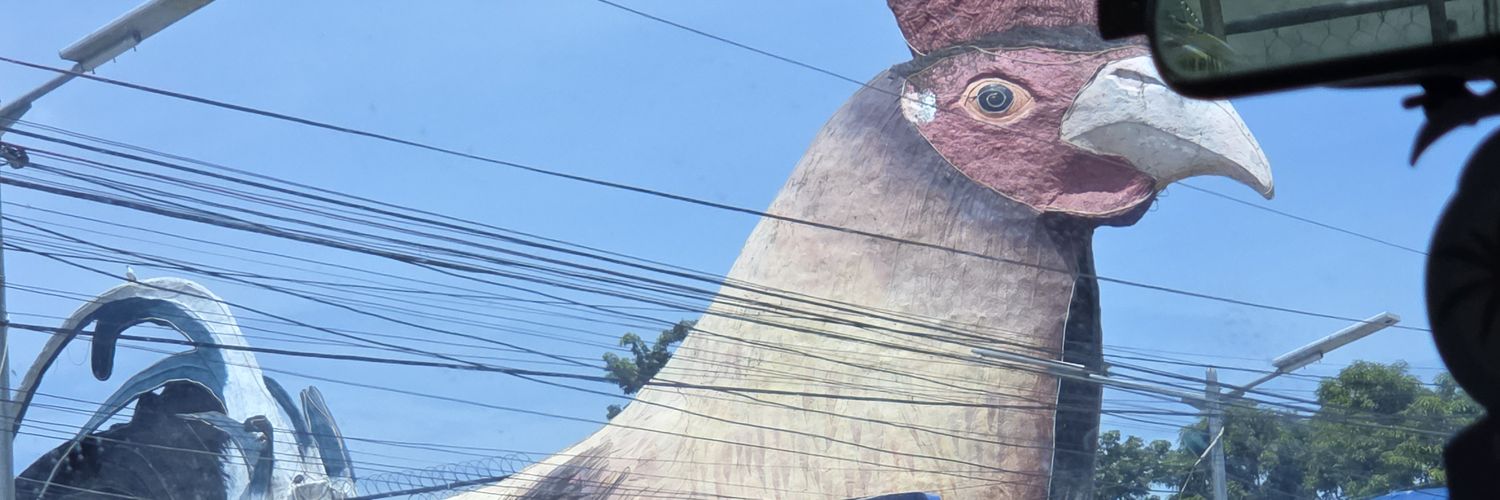 Ruka R Indie📷🐰日本語勉強する's banner
