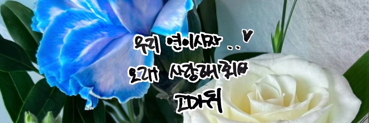 연이사자 🩵's banner