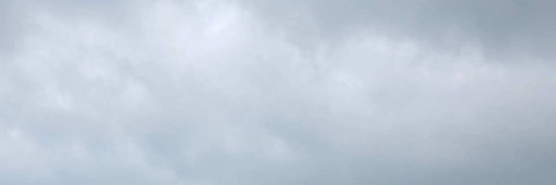 hana 🥂's banner