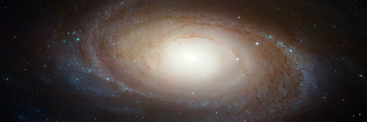 ping_orbnithi's banner