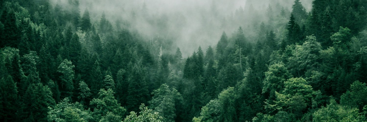 Sylvar🌲's banner