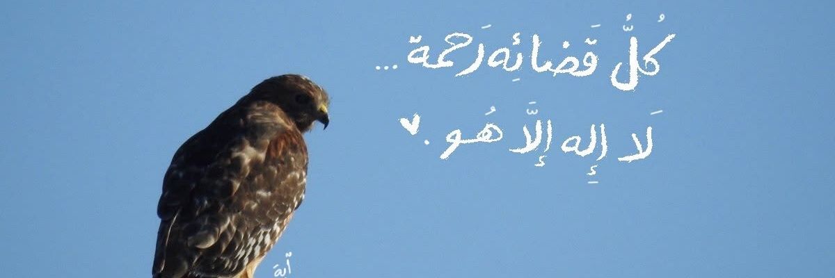 شِـيـمْ's banner