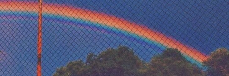 𝘼𝘿𝙖𝙫𝙈𝙚𝙜𝙜𝙞𝙚🧚‍♀️✨️🌸's banner