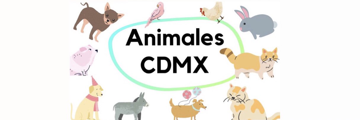 AnimalesCDMX's banner