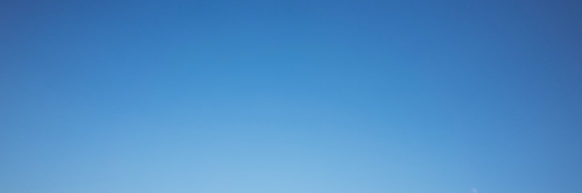小越春花's banner