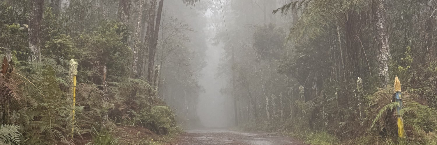 ⟣ 𝓂𝑒𝓃𝒶 ⟢'s banner