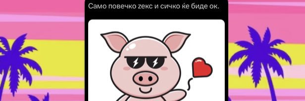 Лиле Стечајка's banner