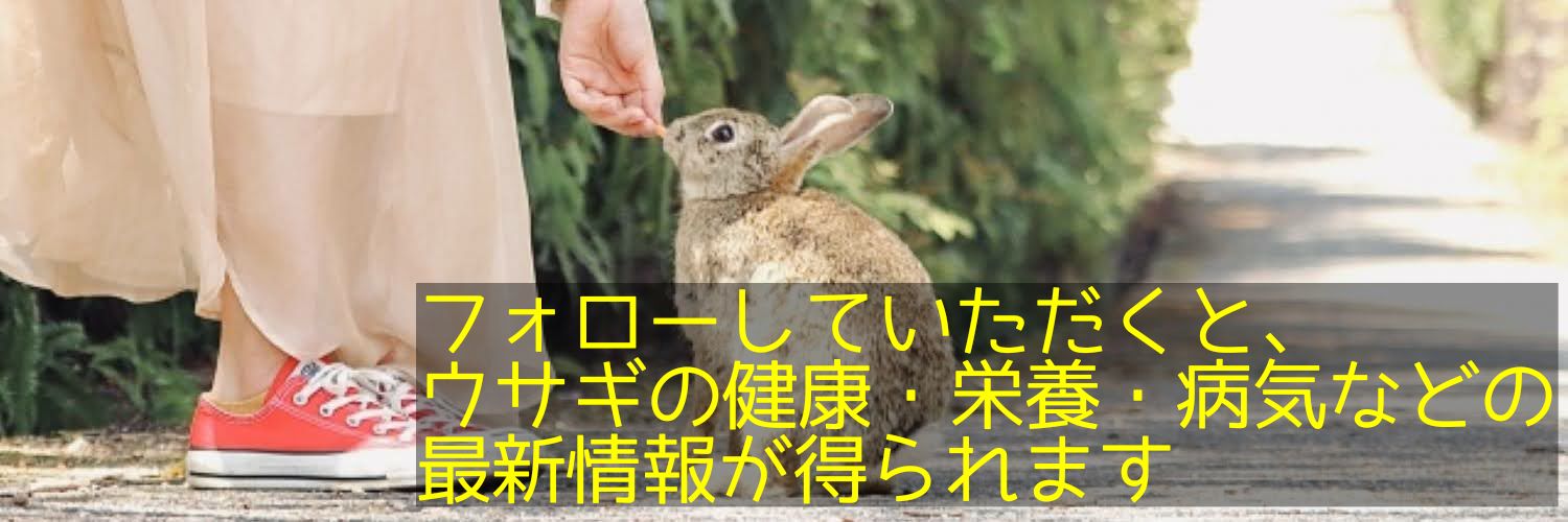 一般社団法人うさぎの環境エンリッチメント協会's banner