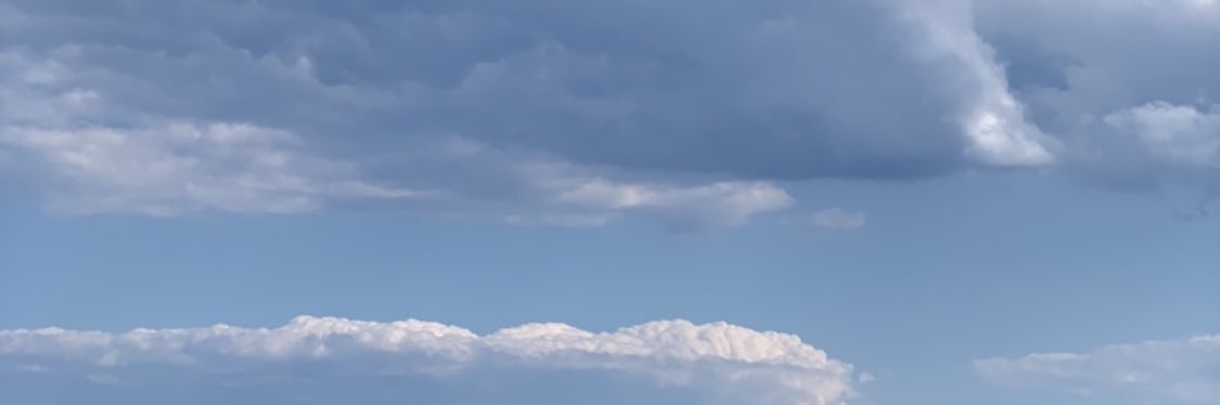 Evelyn Ha's banner