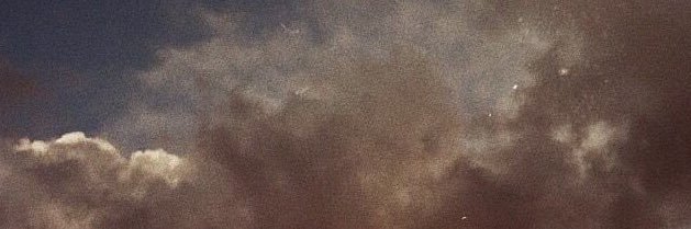 Ari 🏳️‍⚧️'s banner