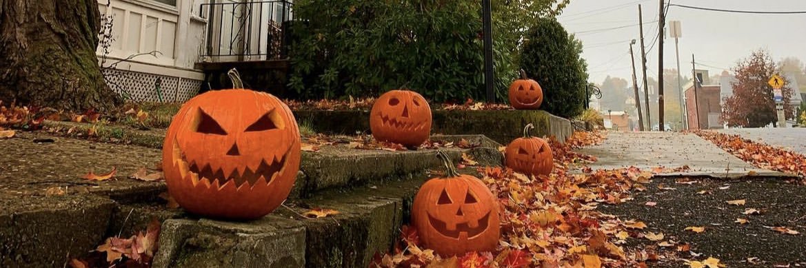 🕸️🎃 Halloween 🎃🕸️'s banner